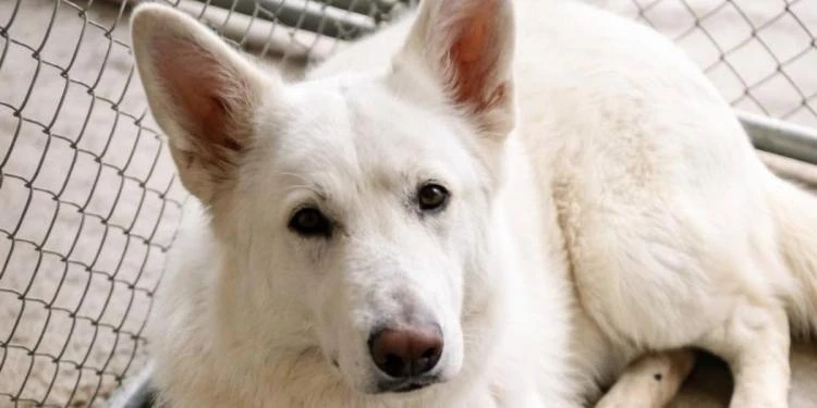 Три роки на холодному бетоні вони тримали одне одного